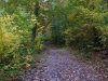 Trail to Little Pine Orchard Picnic Area, Catskills, New York State