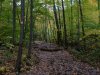 Trail to Little Pine Orchard Picnic Area, Catskills, New York State