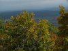 View from Little Pine Orchard Picnic Area, Catskills, New York State