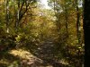 Trail down from Little Pine Orchard Picnic Area, Catskills, New York State, USA