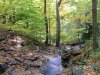 Trail down from Little Pine Orchard Picnic Area, Catskills, New York State, USA
