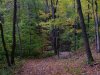 Trail down from Little Pine Orchard Picnic Area, Catskills, New York State, USA