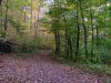 Trail down from Little Pine Orchard Picnic Area, Catskills, New York State, USA