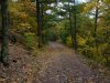 Trail down from Little Pine Orchard Picnic Area, Catskills, New York State, USA