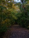 Trail down from Little Pine Orchard Picnic Area, Catskills, New York State, USA