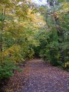 Trail down from Little Pine Orchard Picnic Area, Catskills, New York State, USA