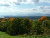 View of the Catskills Mountains from Olana