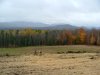 Fall/Autumn Scenic View (N43�46.185' ; W74�16.063'), Route 30, Adirondacks, New York State