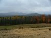 Fall/Autumn Scenic View (N43�46.185' ; W74�16.063'), Route 30, Adirondacks, New York State