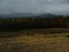 Fall/Autumn Scenic View (N43�46.185' ; W74�16.063'), Route 30, Adirondacks, New York State
