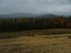 Fall/Autumn Scenic View (N43�46.185' ; W74�16.063'), Route 30, Adirondacks, New York State