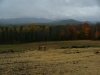 Fall/Autumn Scenic View (N43�46.185' ; W74�16.063'), Route 30, Adirondacks, New York State
