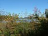 View of the Ottawa River from the Four Season's Trail