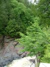Les Chutes Coulonge/Coulonge Falls, Pontiac County, Quebec