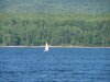 Sailing dinghy on the Ottawa river