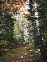 Deep River Silver Spoons C trail during Autumn / Fall