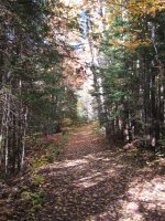 Deep River Silver Spoons C trail during Autumn / Fall