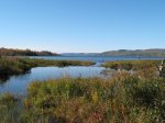Ottawa River and beaver dam Autumn / Fall scene viewed from the Deep River Silver Spoons C trail
