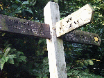 Signpost showing the way