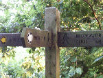 Another signpost showing the way