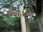 Signpost