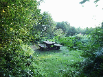 Picnic table overlooking the NSF Tower and Mersey River in the 
    Distance