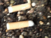And lots of Cigarette butts