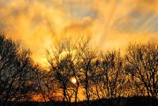 Flame sky at Hampshire Cam page, passed on by Lynette Le Nepveu Smith (11 Jan 2008)
