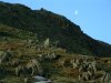 The moon near the summit cairn of Coniston Old Man