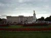 Buckinham Palace