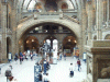 Main entrance of the Natural History Museum