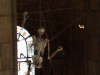Primate skeleton near the ceiling