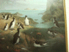 Picture of Giant Auks