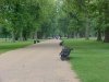 Kensington Gardens going towards Lancaster Gate