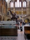 Inside the Natural History Museum of London