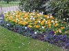 Spring flowers of South Walk Gardens, Kensington Gardens