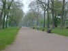 Going north in Kensington Gardens