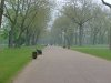 Going north in Kensington Gardens