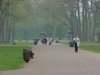 Going north in Kensington Gardens
