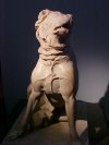 Molossian Hound
