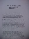 Molossian Hound