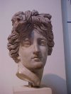 Marble head of Apollo