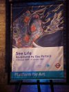 Platform for Art - Gloucester Road tube station