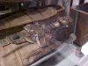 Egyption Mummies
