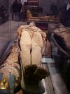 Egyption Mummies