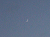 Thin Cresent Moon at Twilight