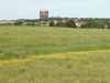 Meadow Buttercup (Ranunculus acris) and Runcorn water tower