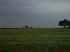Fields around Hatton and Daresbury
