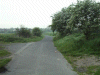 Road from the Bridgewater Canal to Murdishaw, Runcorn