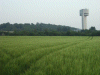 Fields, Keckwick hill and NSF Tower